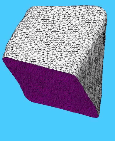 Maize Epidermal Cell Maize Epidermal Cell